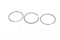 Поршневые кольца Audi:A3 ,A4B5 ,A6C4 ,A6C5 ,TT /Seat:Alhambra ,Cordoba ,Ibiza ,Leon (800045010000)