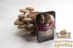 Свіжі гриби Шиїтаке (LENTINULA EDODES) в пакованні 200 г