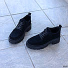 Комфортні туфлі з натуральної замші зі шнурками 36-41, фото 8