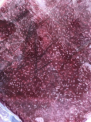 Малинове пюре без насіння заморожене у вакуумі 1кг