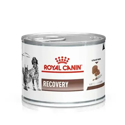 Вологий корм для котів та собак в реабілітаційний період Royal Canin Recovery 195 г (домашня птиця) - dgs, фото 1