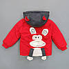 Демісезонна куртка "Мавпочка" для хлопчика. 85 см, фото 3