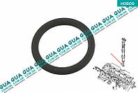 Уплотнительное резиновое кольцо форсунки ( сальник, манжет, прокладка ) 1шт 1201247 Ford / ФОРД TRANSIT