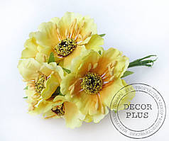 Мак дикий. Жовтий.