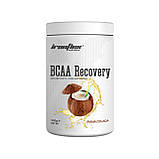 Амінокислоти ВСАА IronFlex BCAA Recovery 500 грам, фото 2