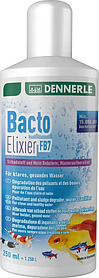 Препарат Dennerle Bacto Elixier FB7 BiActive 250 ml, на 1250 л. Корисні бактерії для акваріума.