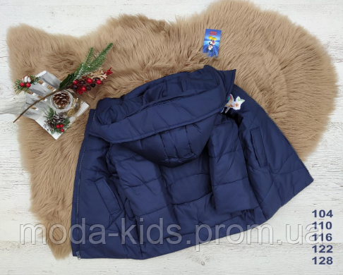 Дитяча зимова курточка плещівка на синтепоні 200 Колібрі Синя унісекс куртка тепла легка зручна