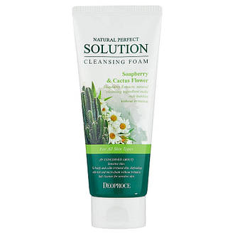 М'яка пінка для вмивання Deoproce Natural Perfect Solution Cleansing Foam Soapberry Cactus 170 мл