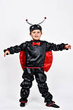 Карнавальний костюм для хлопчика "Божа  Корівка", фото 6