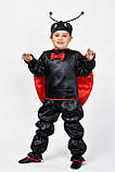 Карнавальний костюм для хлопчика "Божа  Корівка", фото 3
