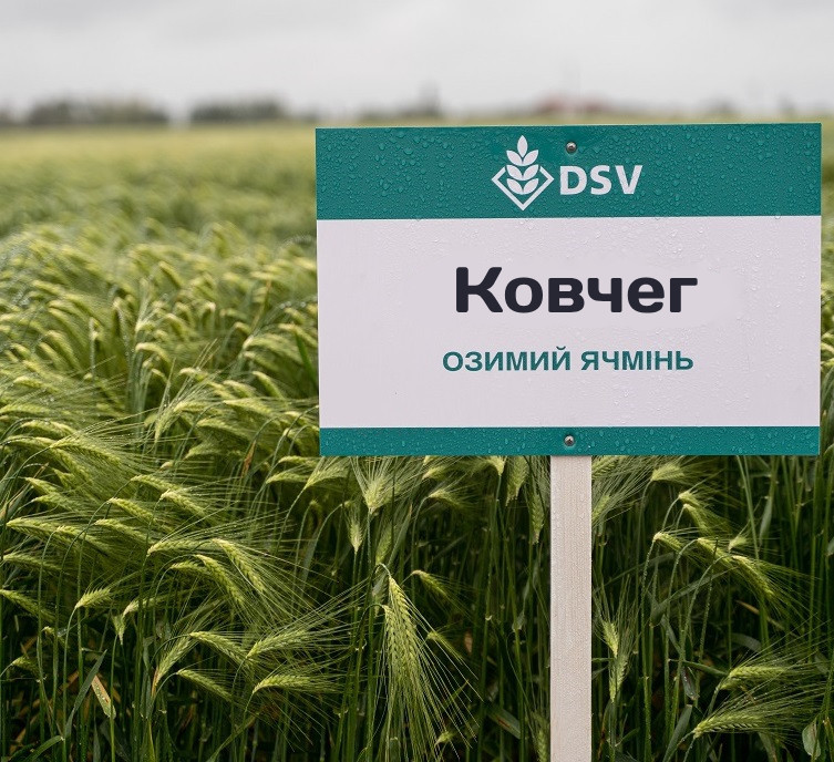 Ковчег насіння озимового ячменю, шестирядний, Перша репродукція, Канада