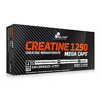 Креатина моногидрат Olimp Creatine Mega Caps 1250 (120 caps)