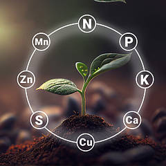 Комплексні добрива