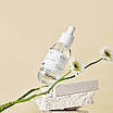 Сироватка з гіалуроновою кислотою The Plant Base (P'lab) Waterfall Moist Balanced Hyaluronic Acid 100% 30ml, фото 5
