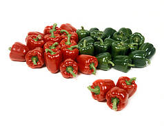 Насіння солодкого перцю Мазурка F1 (Mazurka F1) Rijk Zwaan 100