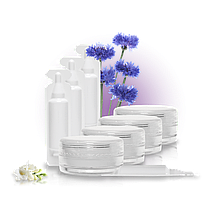 Міні-набір Bishoff для комбінованої шкіри