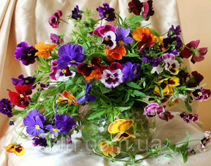 Алмазна вишивка на підрамнику Сонячні братки 40 х 50 см (арт. TN719), фото 1