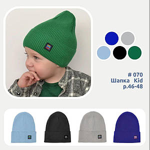 Весняна шапка для хлопчика на 1 2 роки, Шапки дитячі весна-осінь-зима на хлопчиків