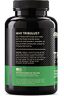 Бустер тестостерона Tribulus 625 Optimum Nutrition 100 капсул, фото 3