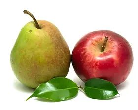 Комплект колоновидних дерев Мрія Садівника (груша: Декора, Сапфіра, Яблуня: Вікторія, Медок))