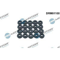 Кільце гумове КЛАП. КР. (SET) VW/OPEL ПОД БОЛТ (20PCS.) DRM01100