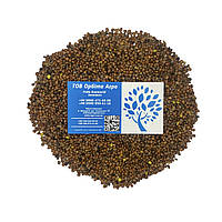 Сидерат редька олійна