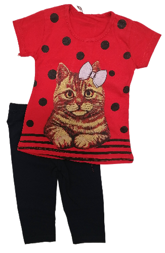 Костюм для дівчинки, зріст 62, 68, 80 см.