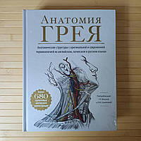 Анатомия Грея Анатомические структуры с оригинальной и современной терминологией на английском, латинском и