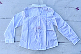 Сорочка для хлопчиків Біла Бавовна РБ140 Бембі розмір 152 (12 років), фото 2