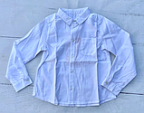 Сорочка для хлопчиків Біла Бавовна РБ140 Бембі розмір 152 (12 років), фото 3