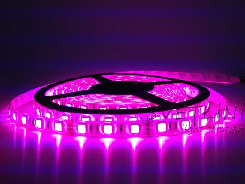 Світлодіодна стрічка ESVITI 5050-60 RGB Standart IP63, фото 1