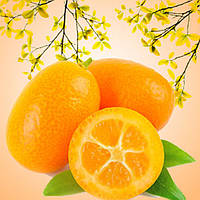 Kumquat 30 грамів