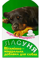 "Ласуня Морские водоросли" - витаминно-минеральная добавка для собак (100 табл.), Норис