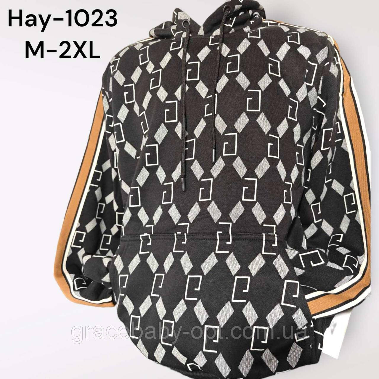 Толстовка утеплена чоловіча оптом, M-2XL рр, № Hay-1023