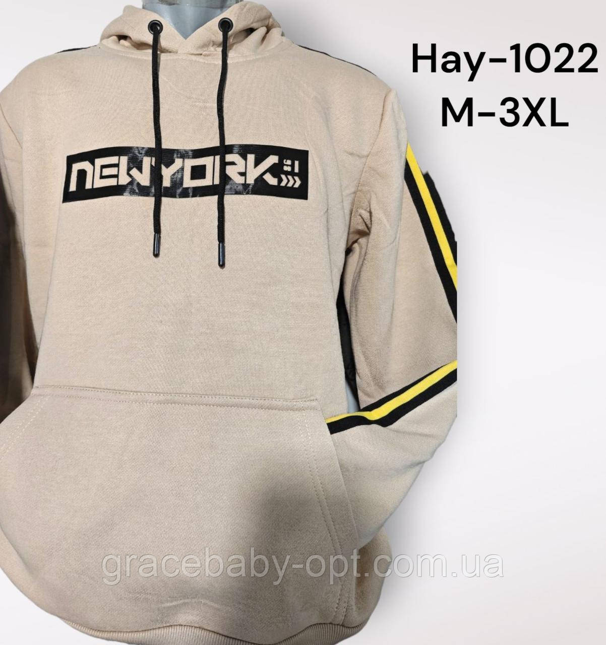 Толстовка утеплена чоловіча оптом, M-3XL рр, № Hay-1022