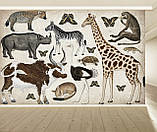 Фотошпалери для дитячої кімнати Тварини Африки, фото 2
