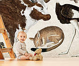 Фотошпалери для дитячої кімнати Тварини Африки, фото 5