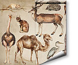 Дитячі фотошпалери Тварини Африки, фото 4