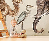 Дитячі фотошпалери Тварини Африки, фото 5
