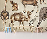 Дитячі фотошпалери Тварини Африки, фото 3