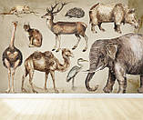 Дитячі фотошпалери Тварини Африки, фото 2