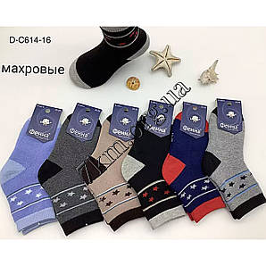 Шкарпетки дитячі махрові Оптом для хлопчиків 20-25 р.р. "Зірочки" Фена D-C614-16