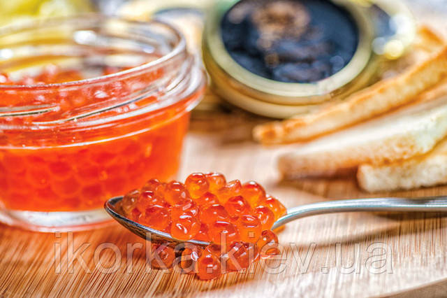 купити ікру чавичі якісну, натуральну та корисну Червона ікра чавичі користь та поживна цінність