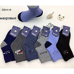 Шкарпетки дитячі махрові Оптом для хлопчиків 20-25 р.р. "Socks" Фена D-C614-15