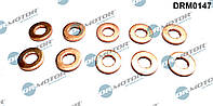 Термошайба SET (10PCS) PSA/FIAT/FORD/OPEL/RENAULT, SAAB, VOLVO, VW (SILNIKI CDTI, HDI, JTD, TDCI, TDI) DRM0147