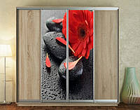 Наклейка для шкафа-купе 220 х 60 см на 2 двери цветок и камни (БП_а_fl10612)