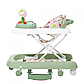 Дитячі ходунки Carello Fiore (Карелло Фіоре) CRL-9606 Green 3 в 1 (ходунки, каталка, гойдалка), фото 3