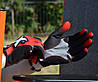 Рукавички для фітнесу MadMax MXG-101 X Gloves Black/Grey/Red L, фото 7