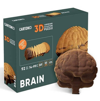 Книга Картонний конструктор "Cartonic 3D Puzzle BRAIN"