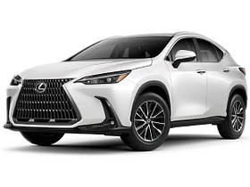 Lexus NX 2021-